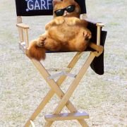 Garfield - galeria zdjęć - filmweb