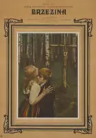 plakat filmuBrzezina