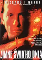 plakat filmu Zimne światło dnia