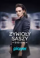 plakat serialu Żywioły Saszy – Ogień